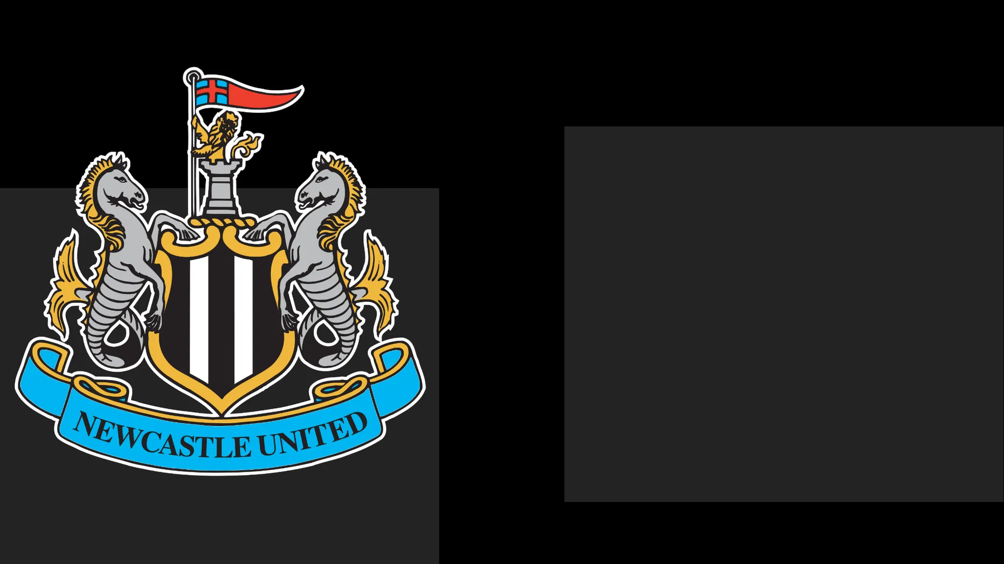 Newcastle's boss Praises Team's Heart – However That Only Carries Them This Far