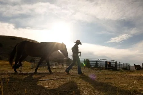 Discover the American Women Ranchers Reshaping Modern Ranching